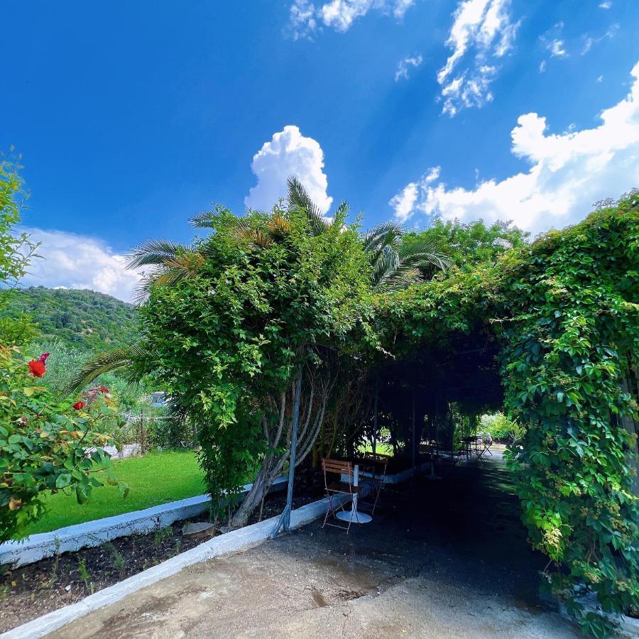 Garden Villa Naza Piqeras エクステリア 写真