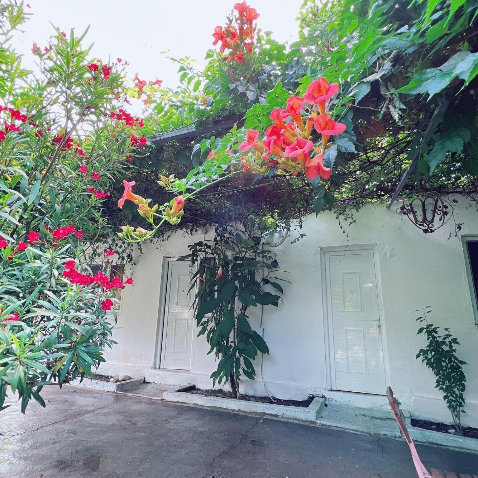 Garden Villa Naza Piqeras エクステリア 写真